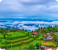 Nature Darjeeling